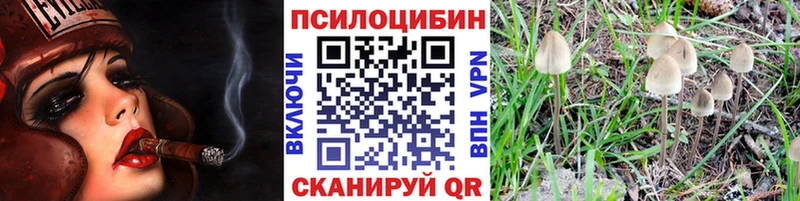 hydra зеркало Железноводск Псилоцибиновые грибы Psilocybe